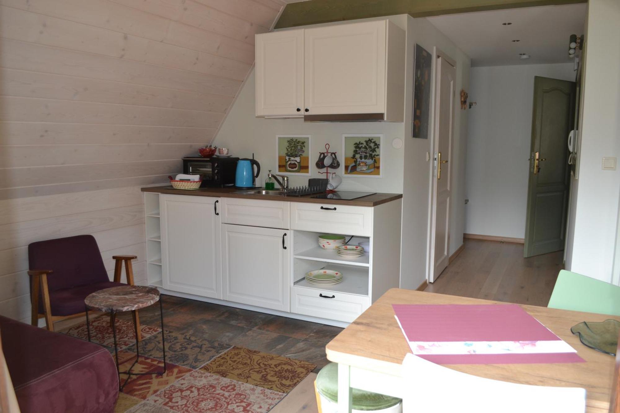 Apartamenty Inny Swiat ザコパネ 部屋 写真